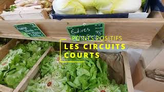 Circuits Courts Die